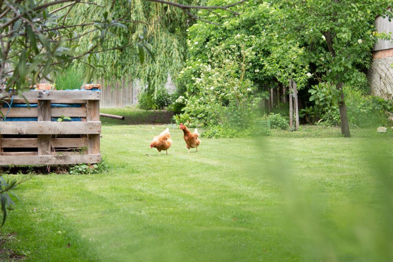 Ferienwohnung Koppi Pamhagen Bagian luar foto