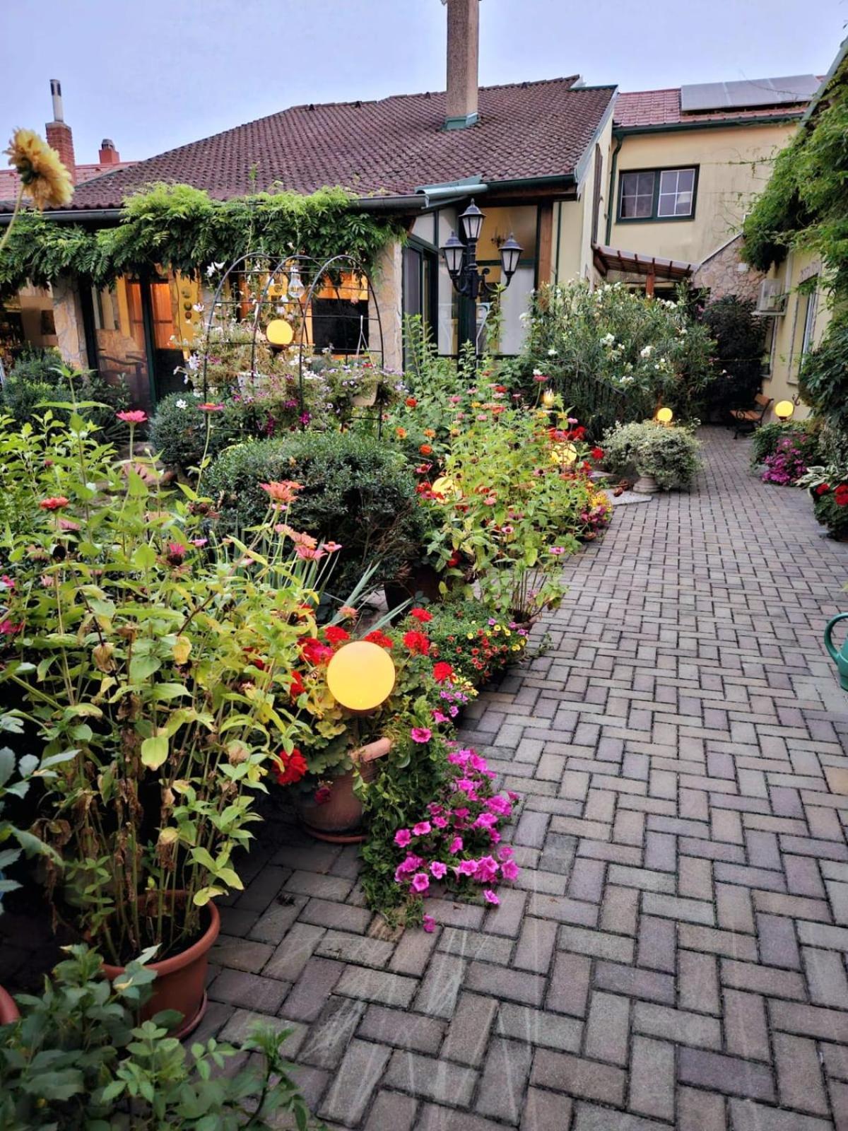 Ferienwohnung Koppi Pamhagen Bagian luar foto