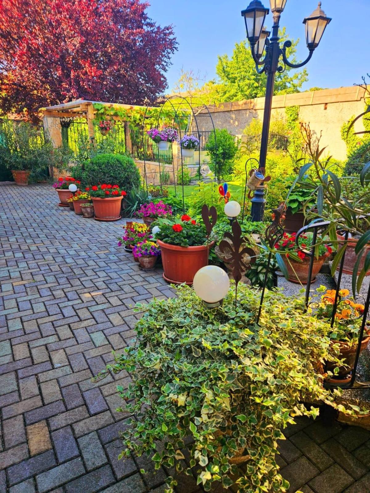 Ferienwohnung Koppi Pamhagen Bagian luar foto