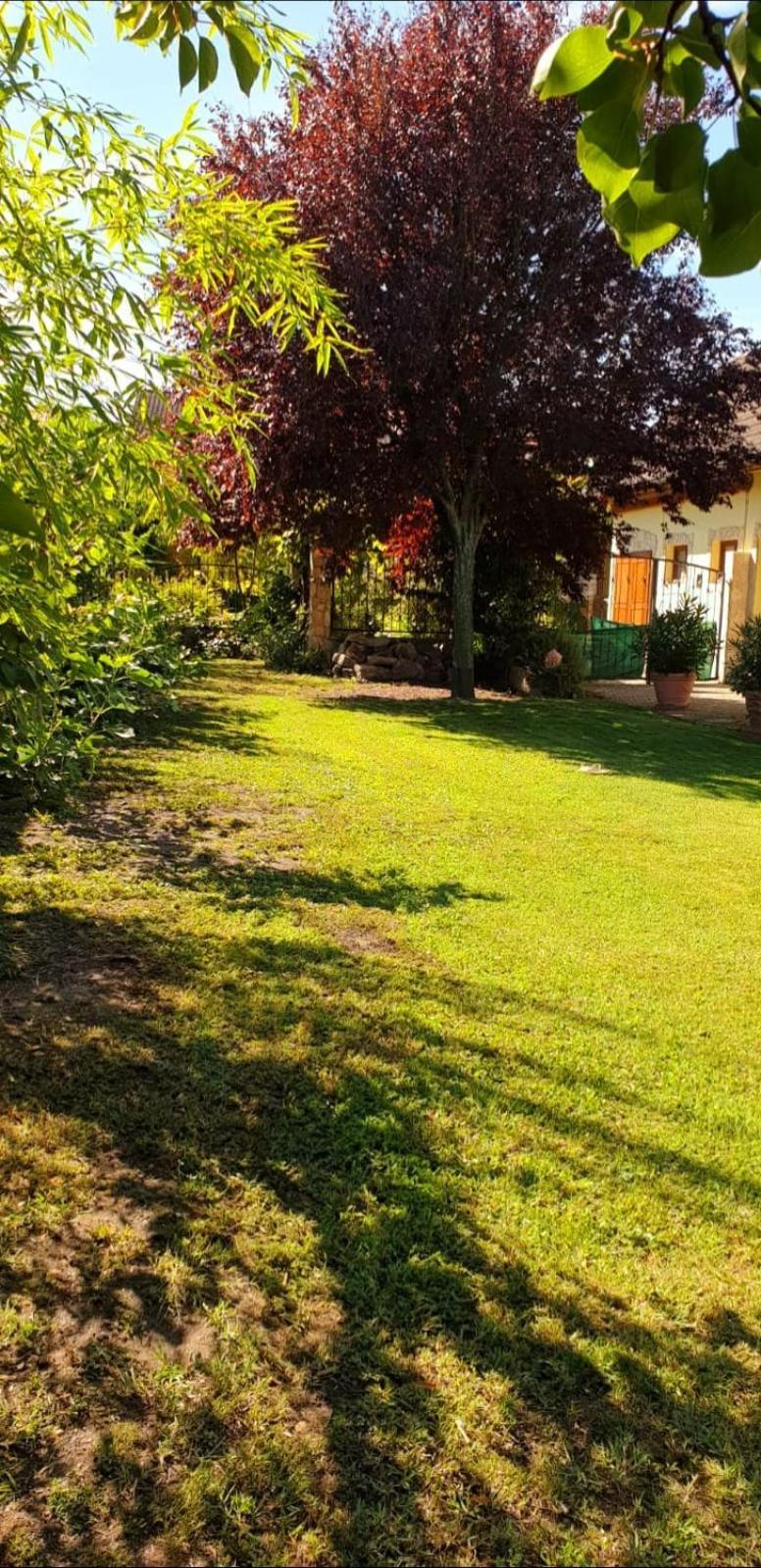 Ferienwohnung Koppi Pamhagen Bagian luar foto