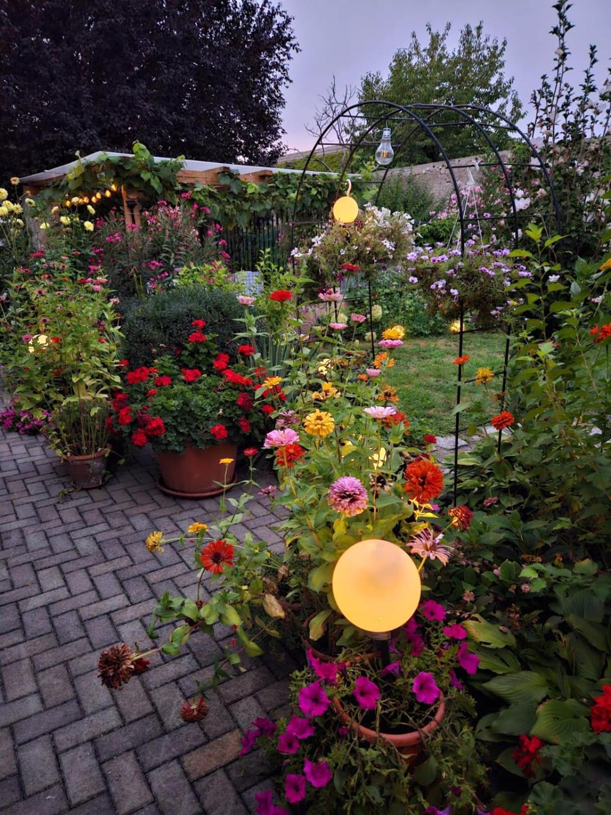 Ferienwohnung Koppi Pamhagen Bagian luar foto