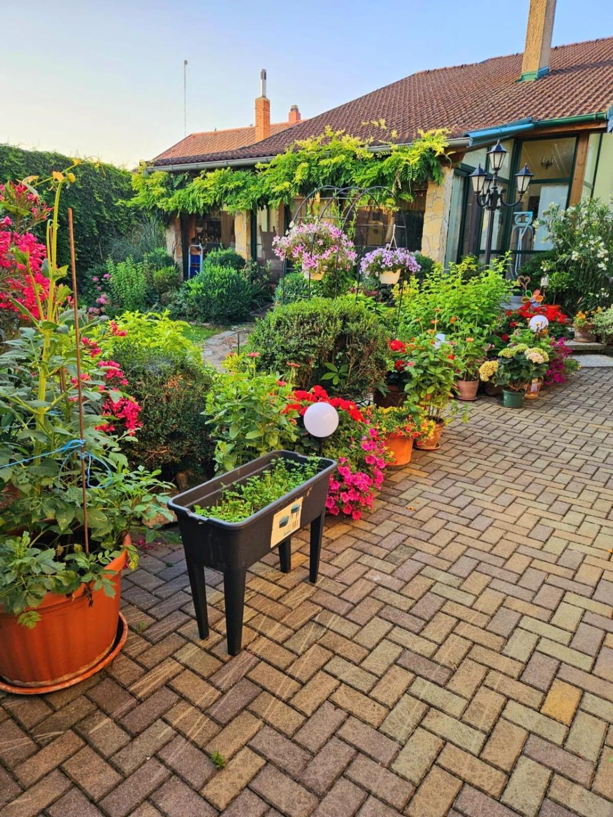 Ferienwohnung Koppi Pamhagen Bagian luar foto