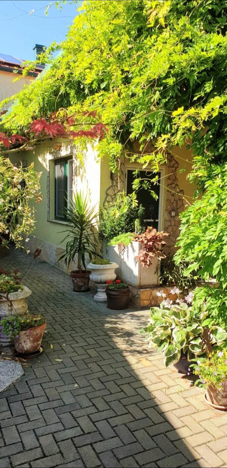 Ferienwohnung Koppi Pamhagen Bagian luar foto