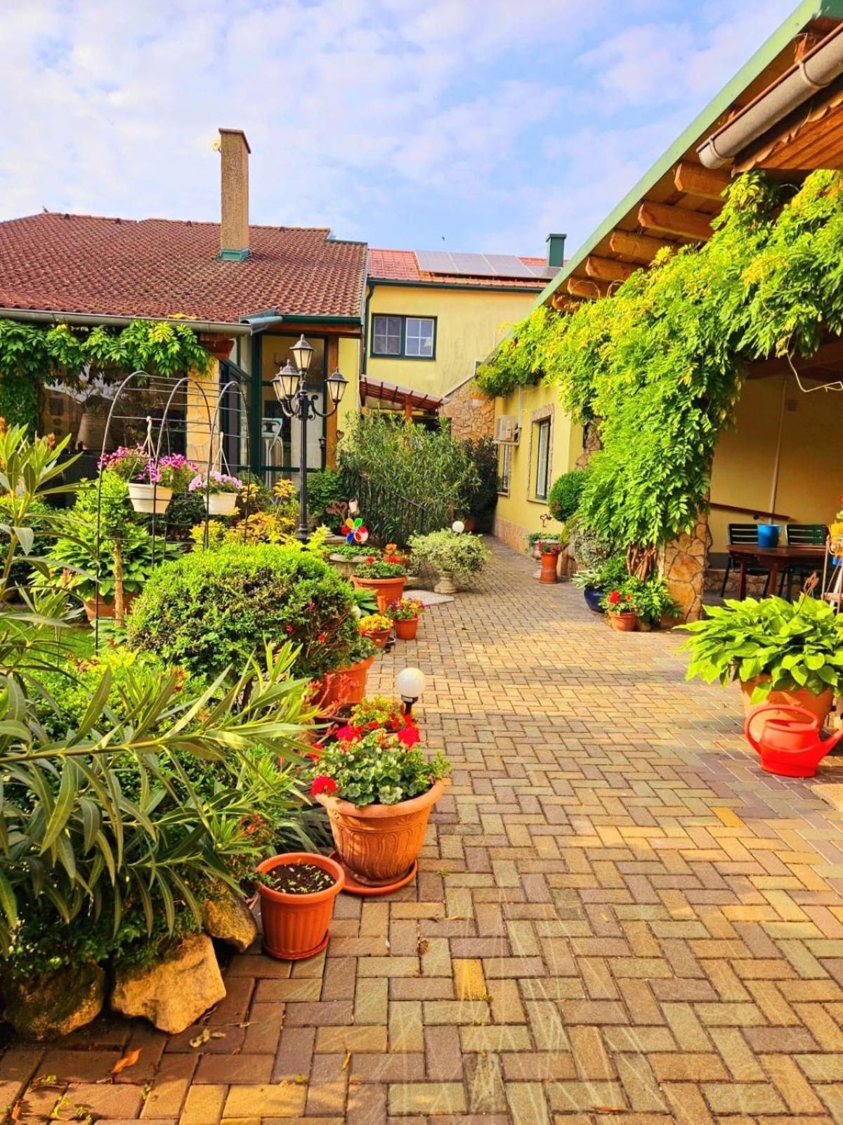 Ferienwohnung Koppi Pamhagen Bagian luar foto