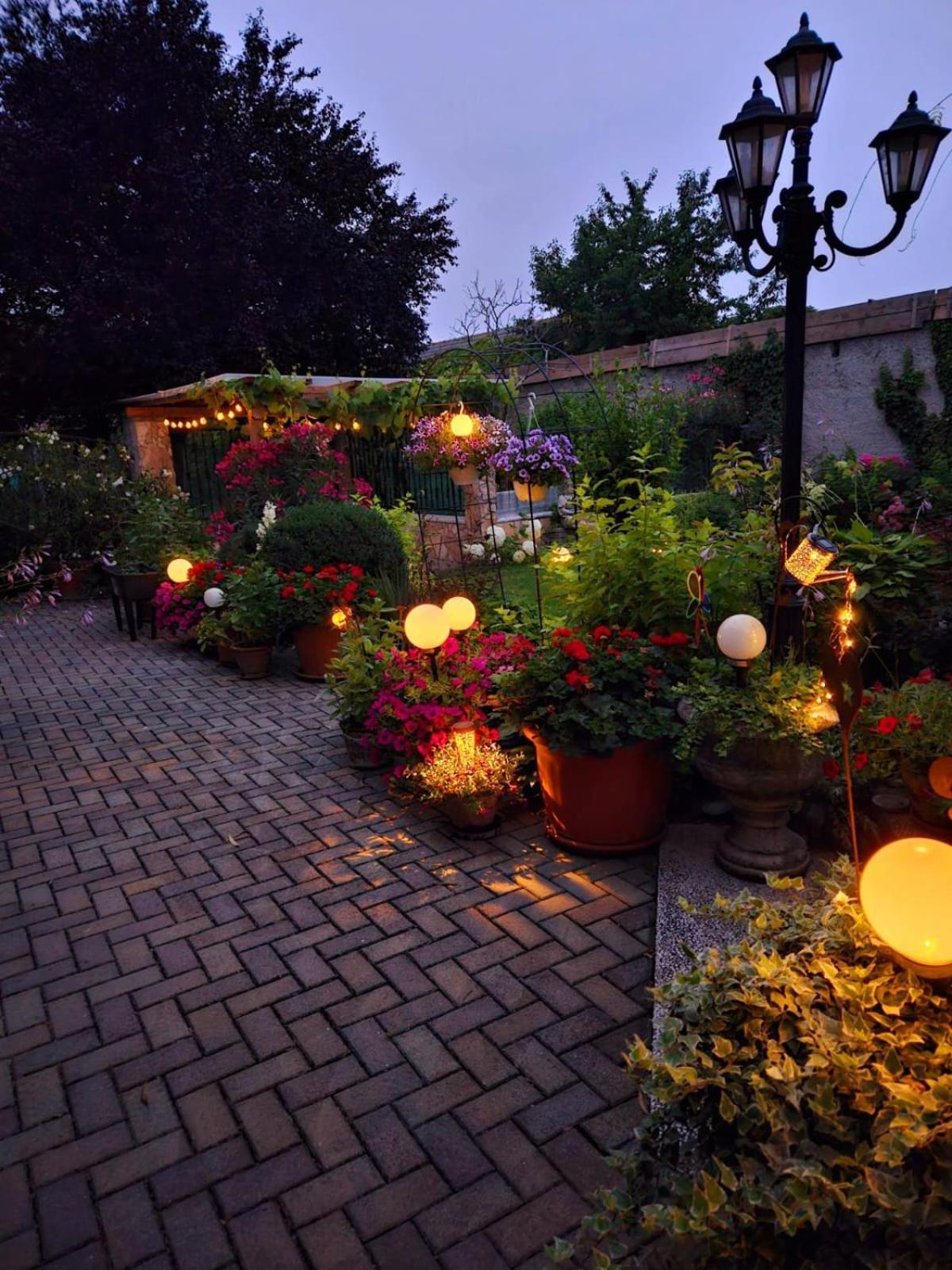 Ferienwohnung Koppi Pamhagen Bagian luar foto