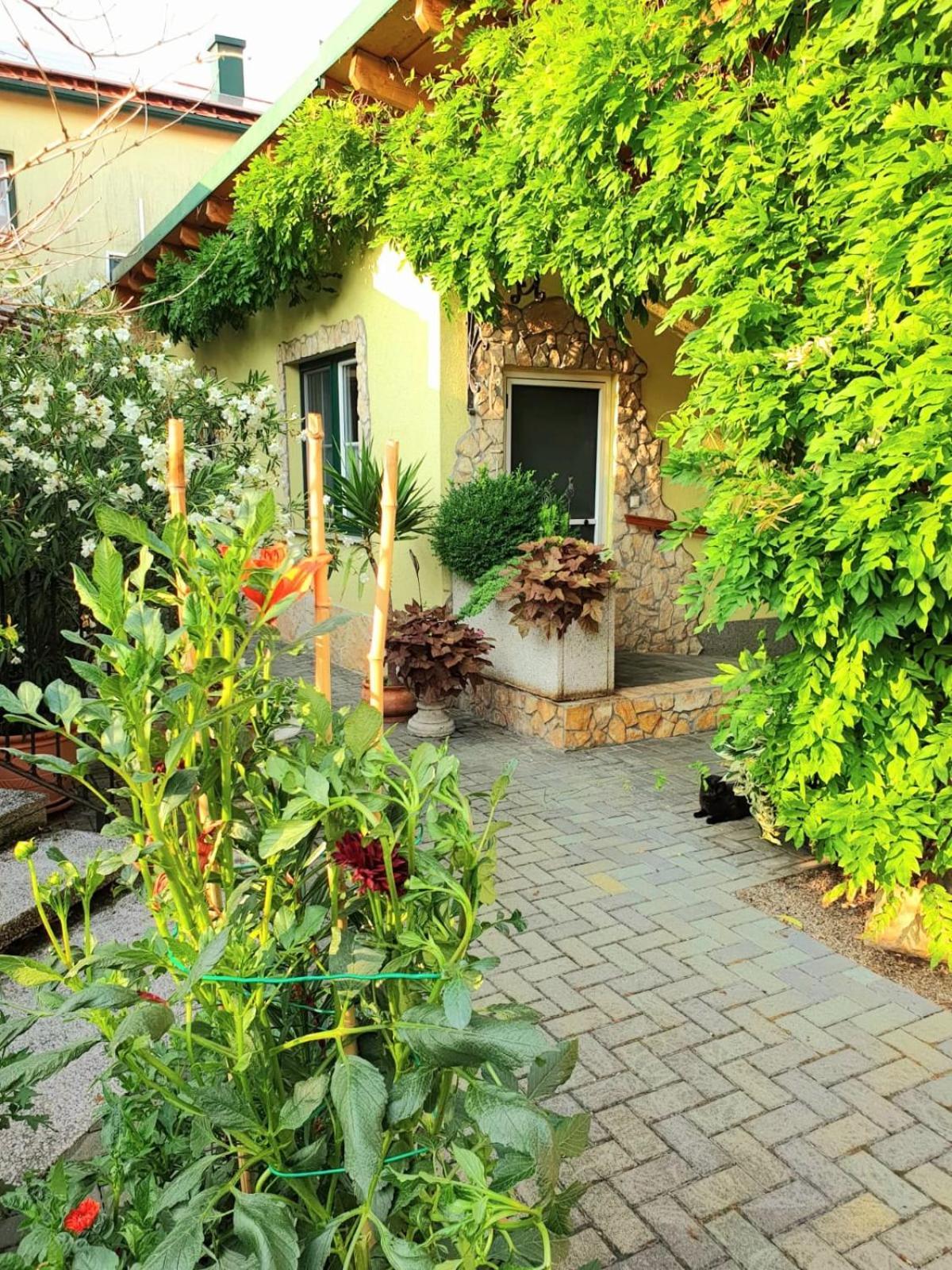 Ferienwohnung Koppi Pamhagen Bagian luar foto
