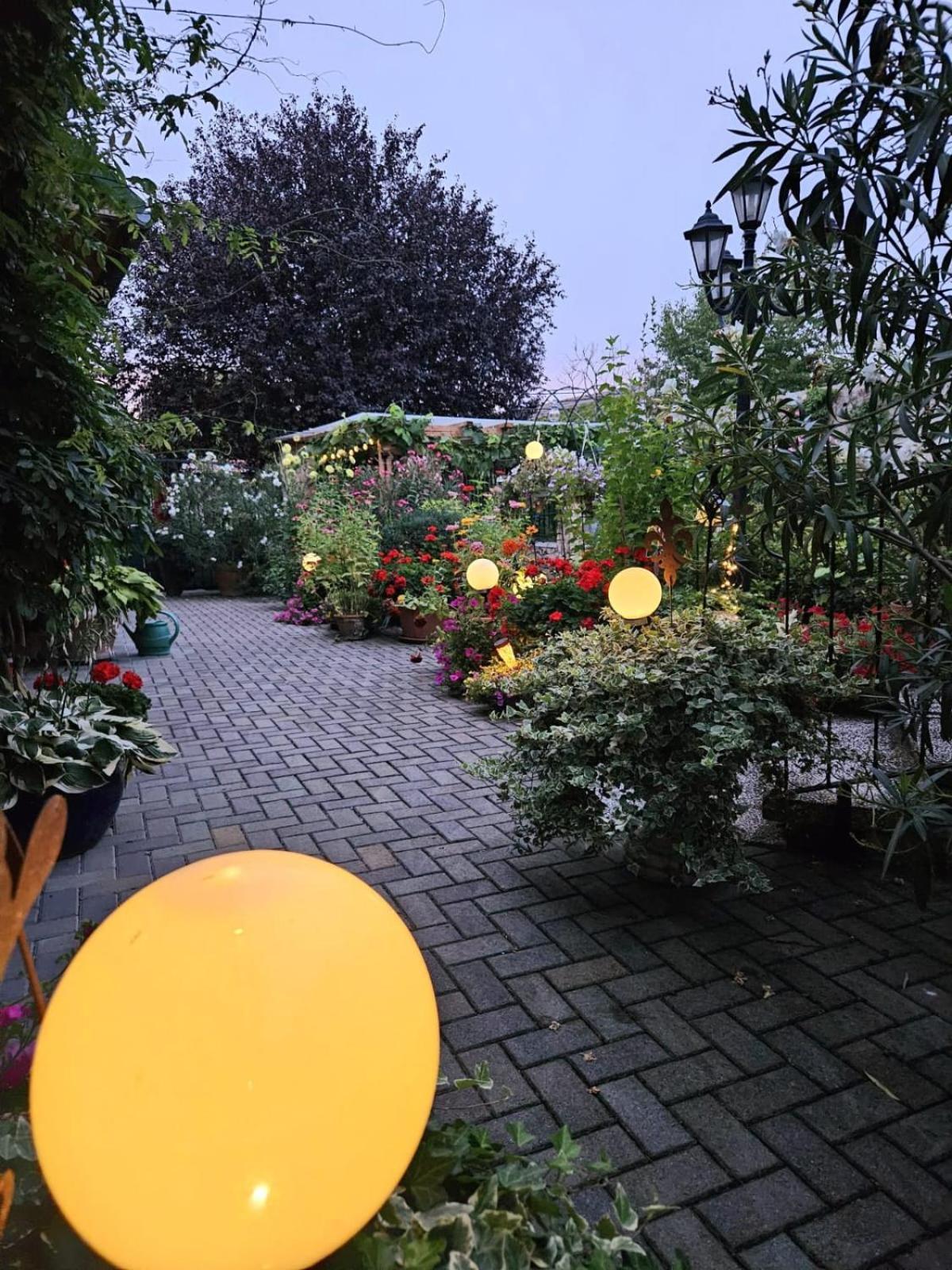 Ferienwohnung Koppi Pamhagen Bagian luar foto