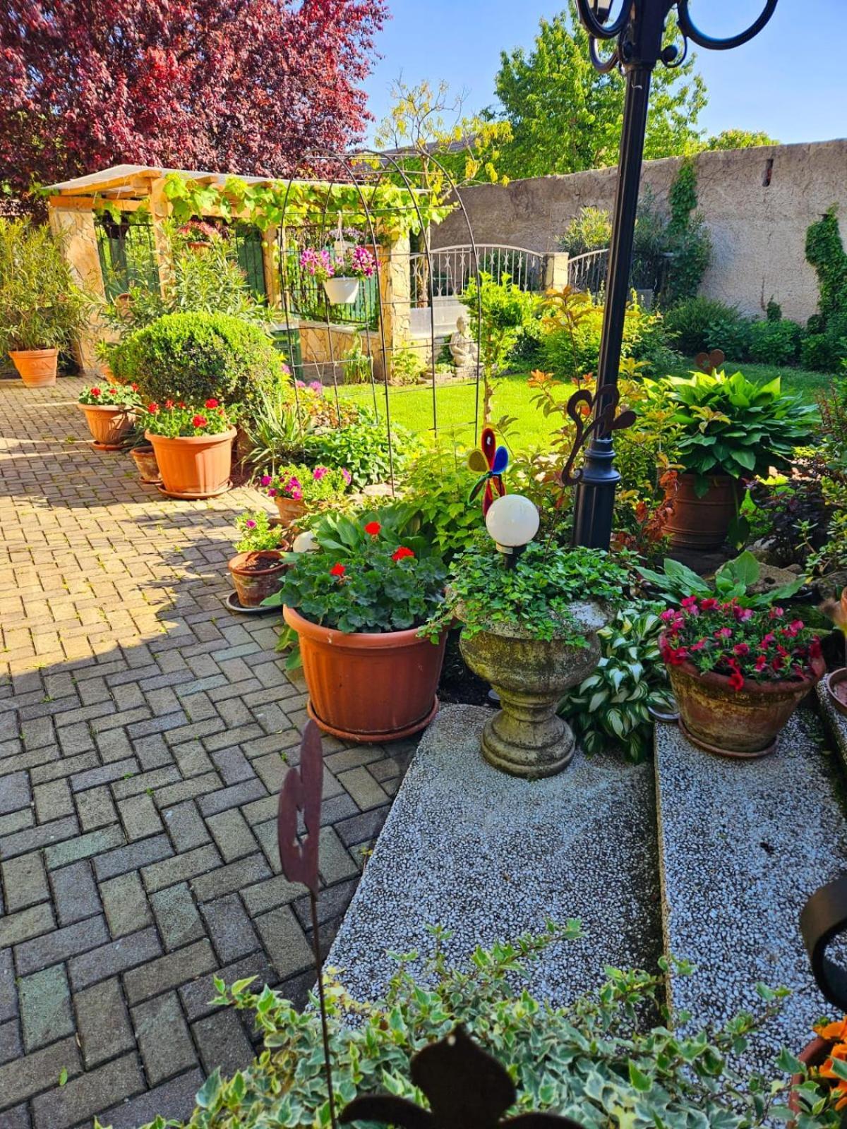 Ferienwohnung Koppi Pamhagen Bagian luar foto