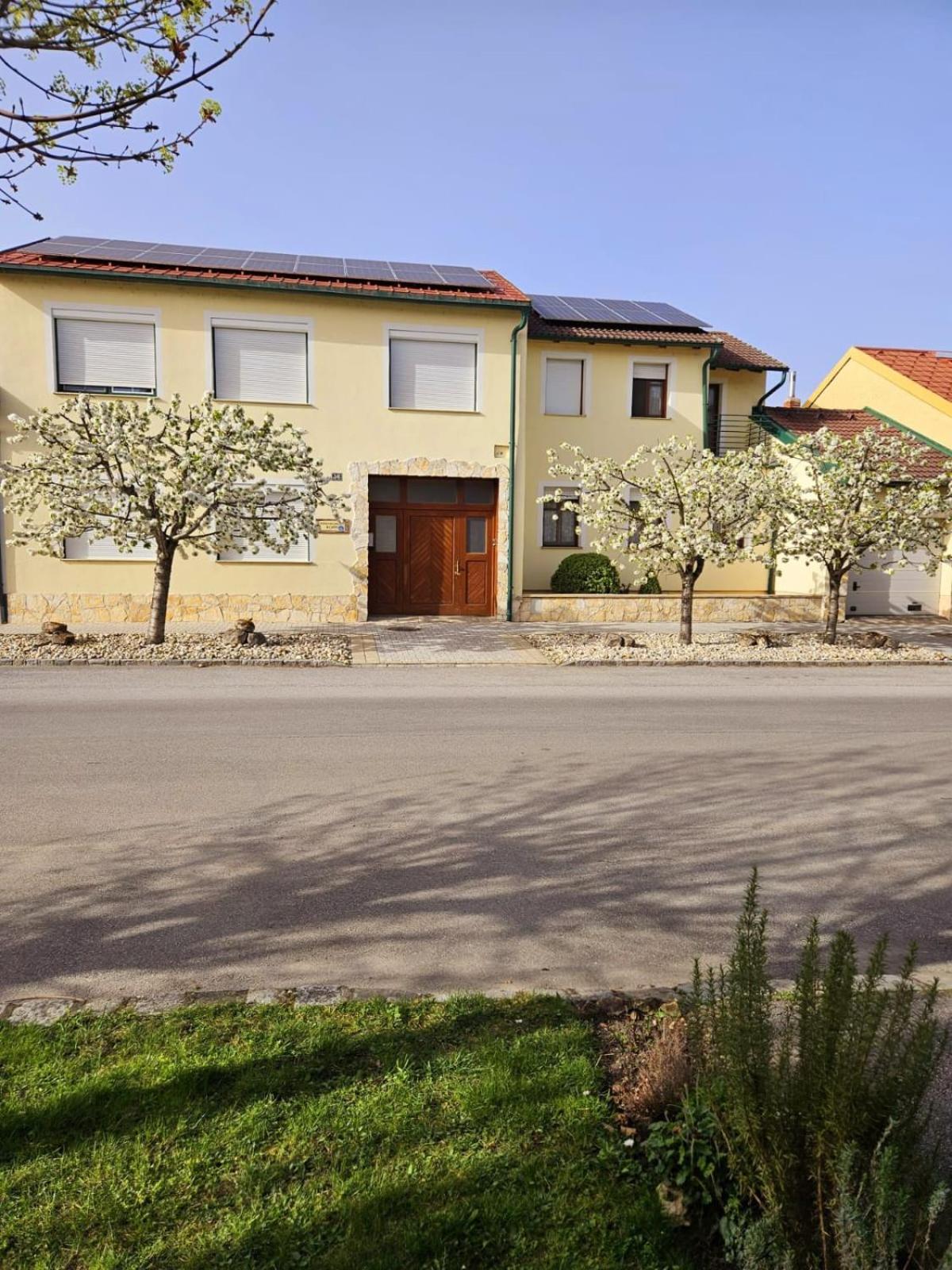 Ferienwohnung Koppi Pamhagen Bagian luar foto