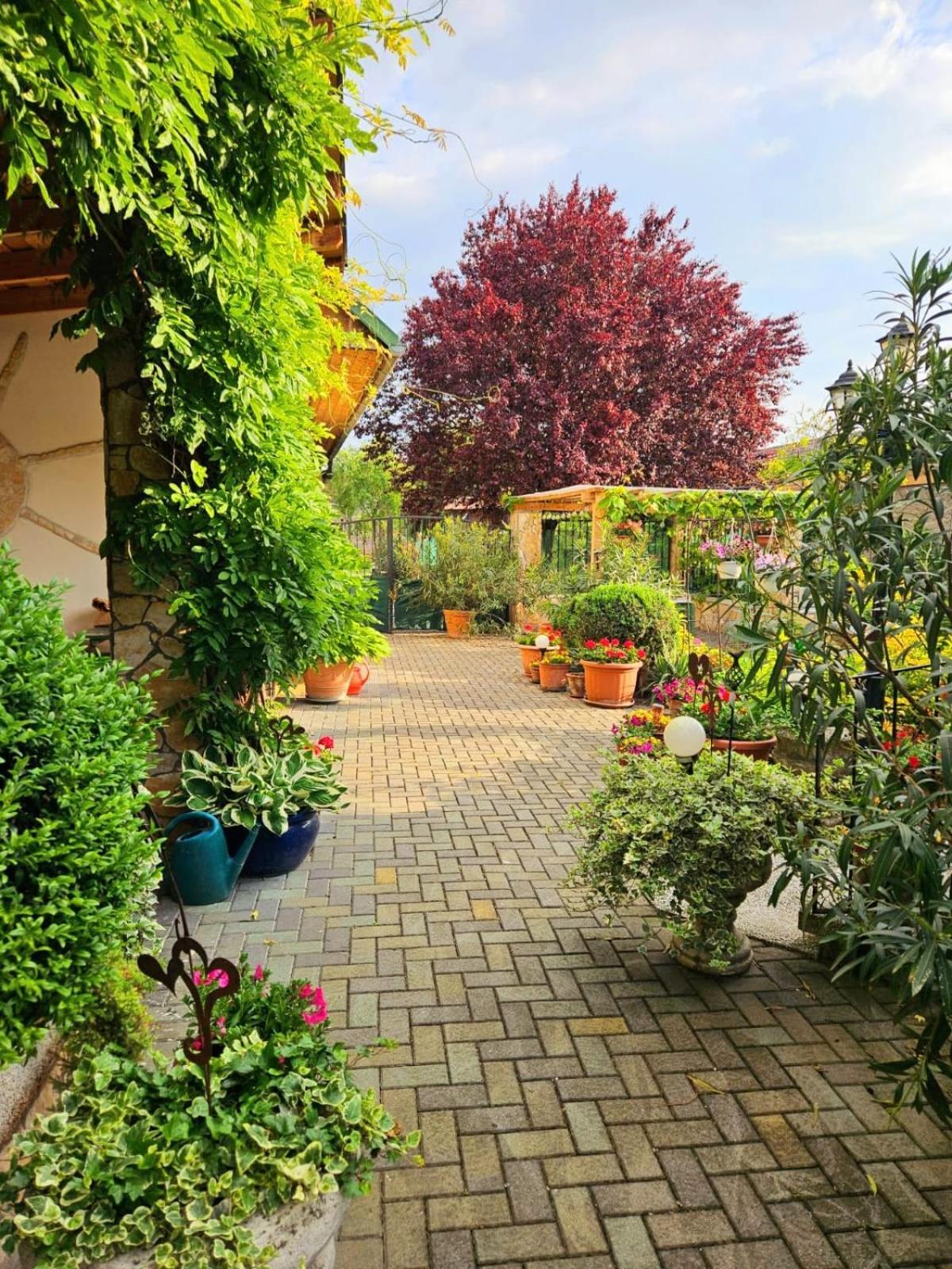 Ferienwohnung Koppi Pamhagen Bagian luar foto