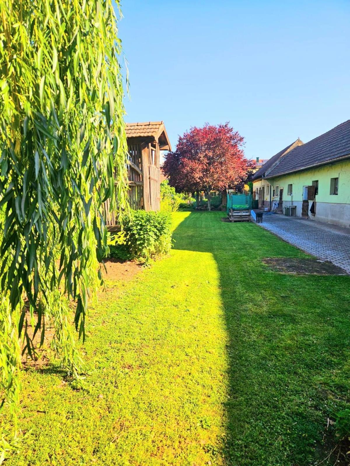 Ferienwohnung Koppi Pamhagen Bagian luar foto