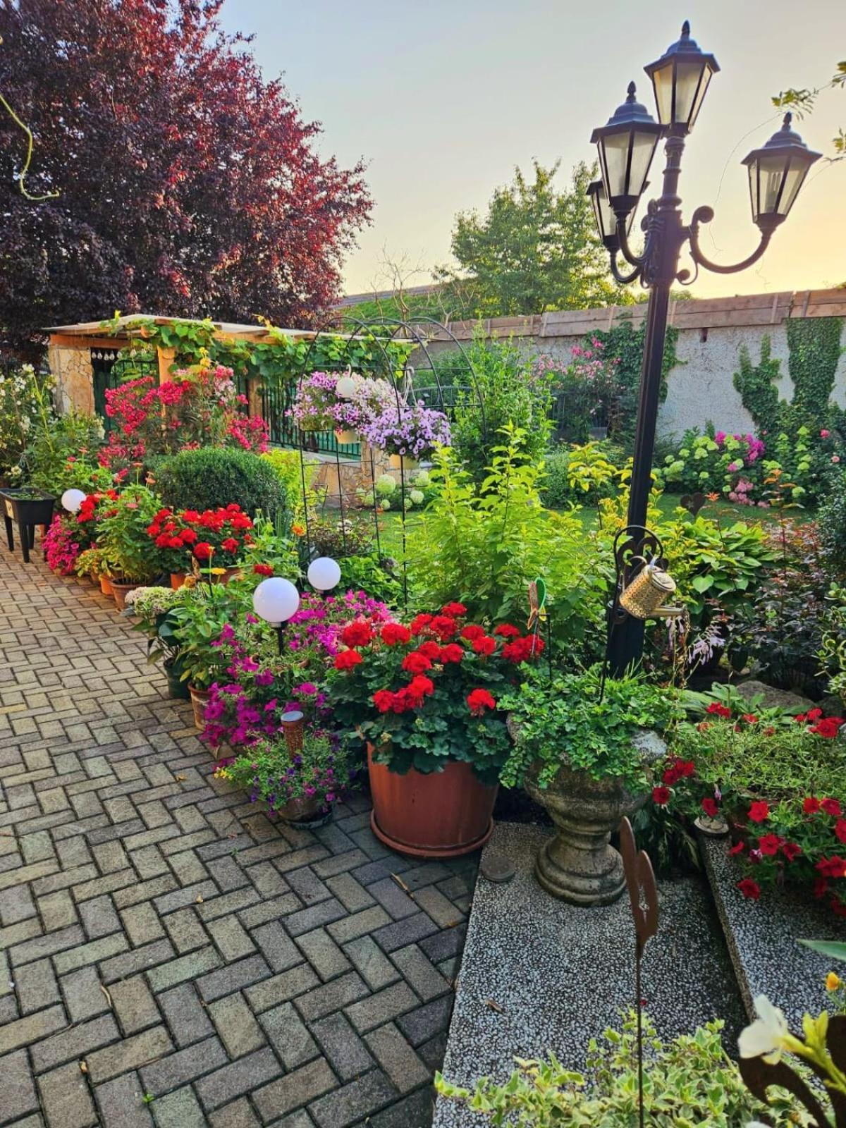 Ferienwohnung Koppi Pamhagen Bagian luar foto