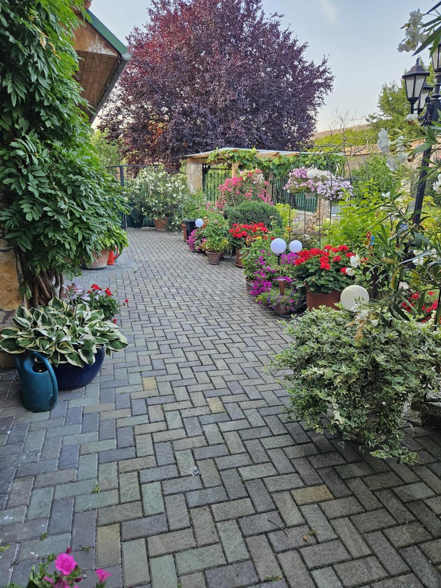 Ferienwohnung Koppi Pamhagen Bagian luar foto