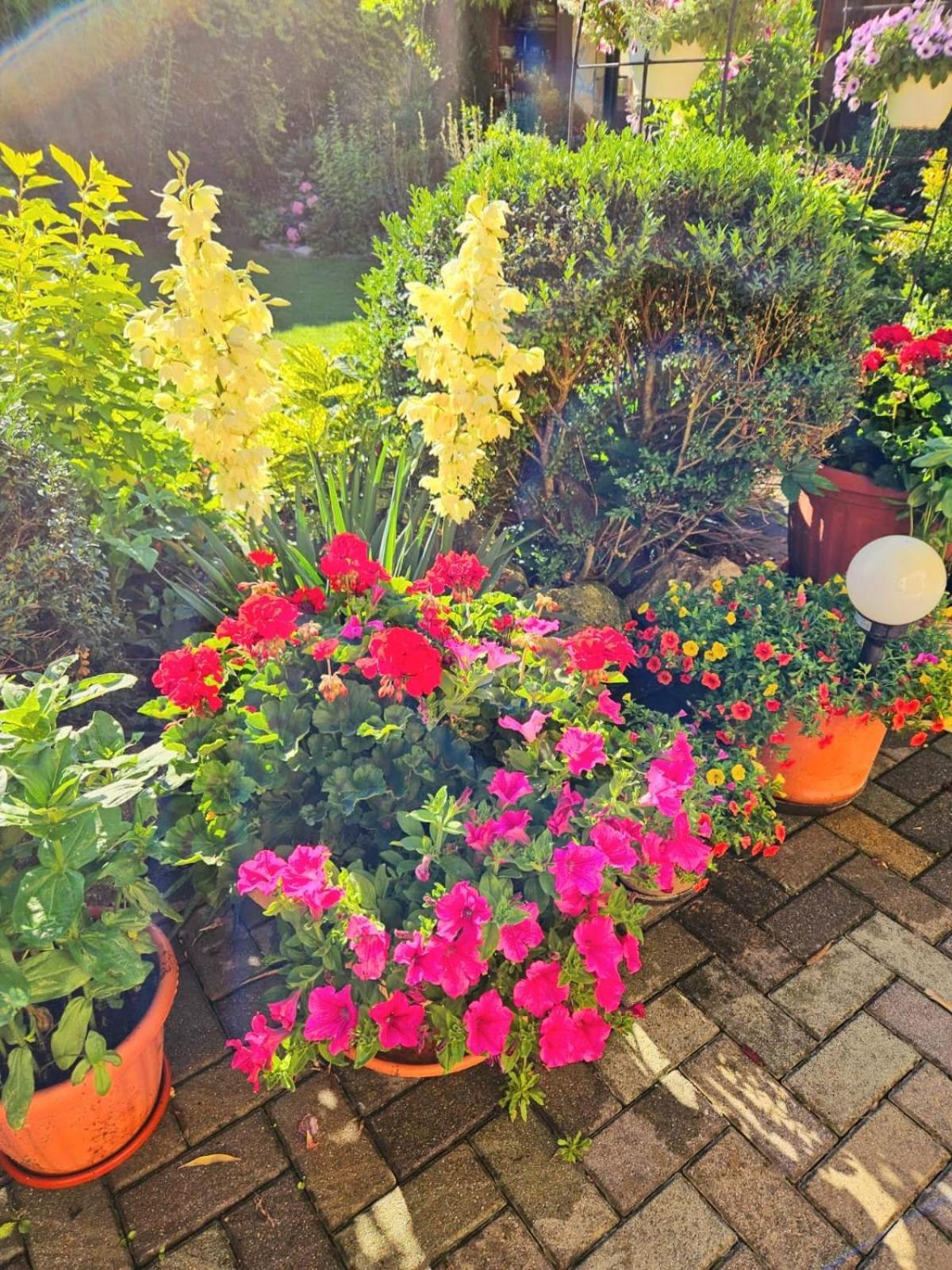Ferienwohnung Koppi Pamhagen Bagian luar foto